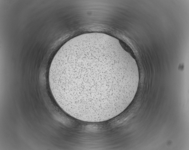 X0000116890394201002021213