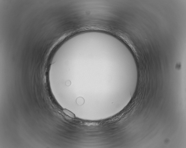 X0000116890395201002021213