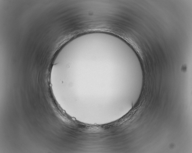 X0000116890397201002021213