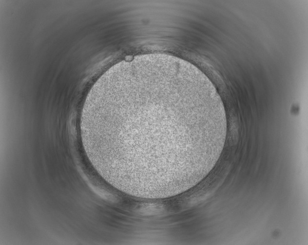 X0000116890398201002021213