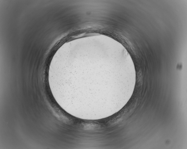 X0000116890400201002021213