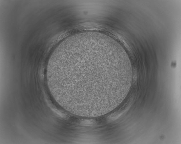 X0000116890402201002021213