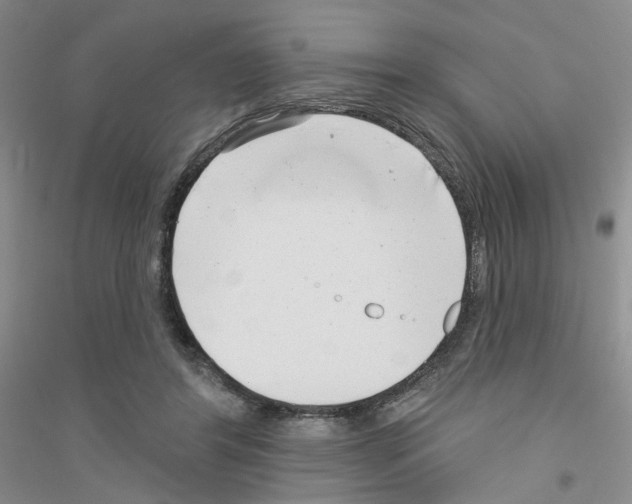 X0000116890404201002021213