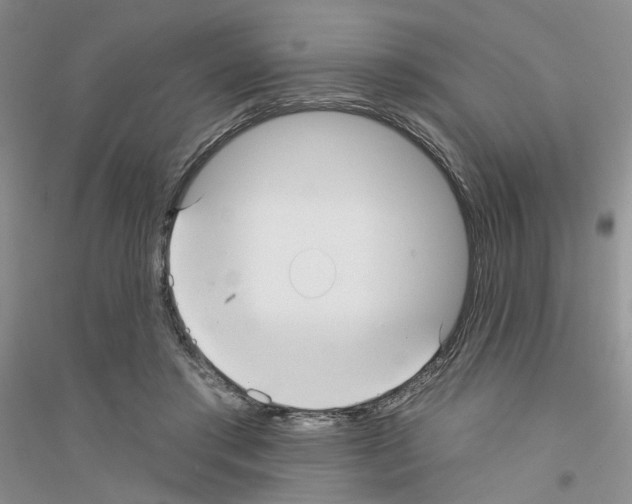 X0000116890405201002021213