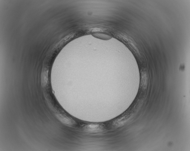 X0000116890406201002021213