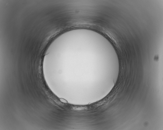 X0000116890407201002021213