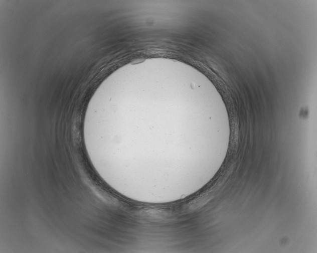 X0000116890408201002021213