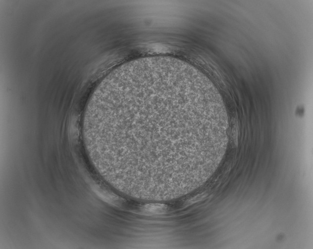 X0000116890410201002021213