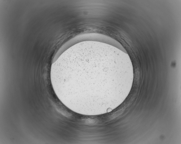 X0000116890412201002021213