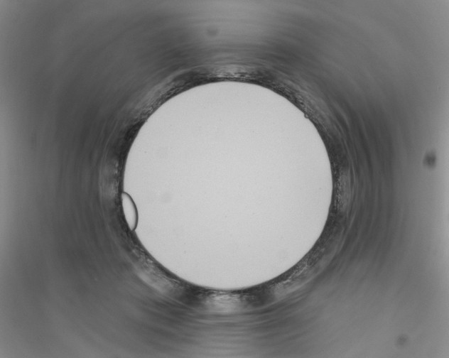 X0000116890413201002021213