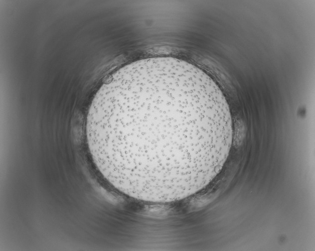 X0000116890414201002021213