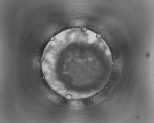 X0000116890415201002021213