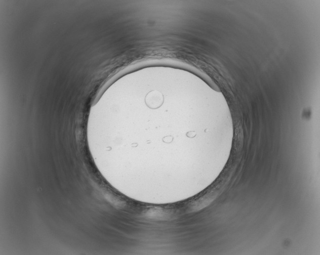 X0000116890416201002021213