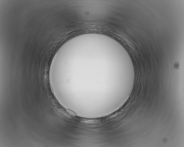 X0000116890417201002021213