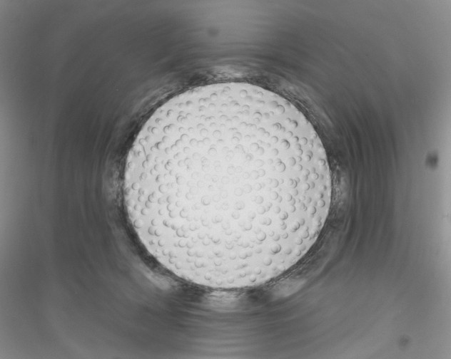 X0000116890418201002021213