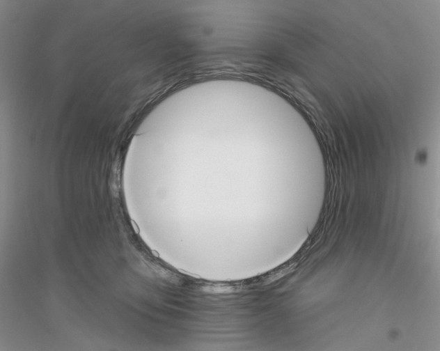 X0000116890419201002021213