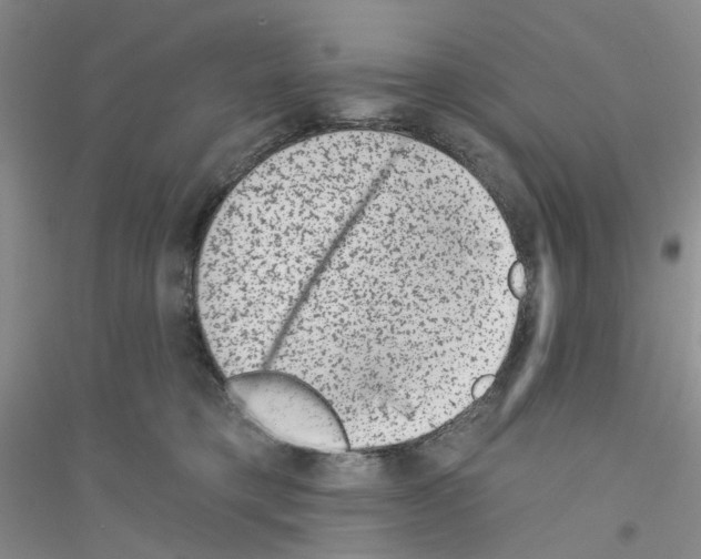 X0000116890421201002021213