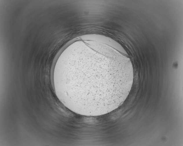 X0000116890424201002021213