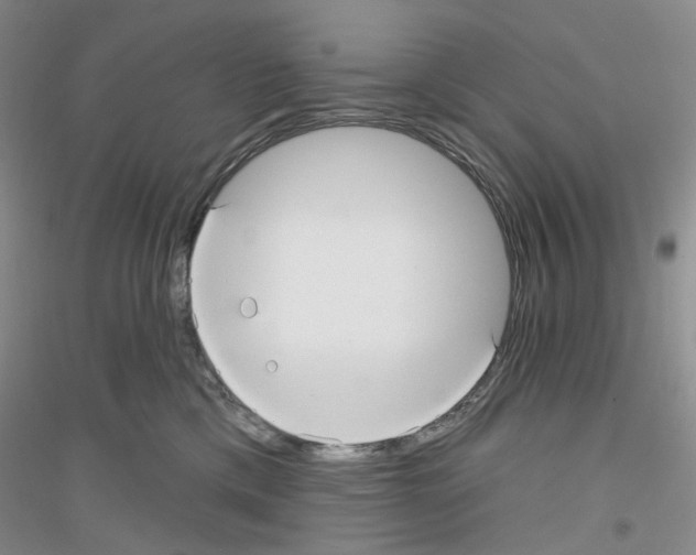 X0000116890425201002021213