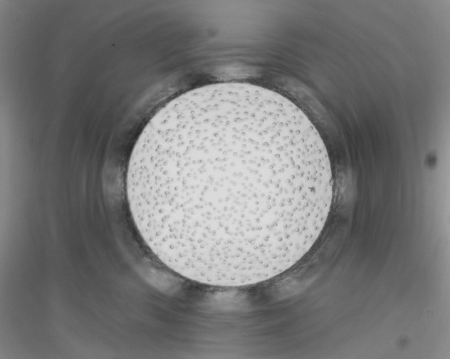 X0000116890426201002021213