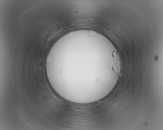 X0000116890427201002021213