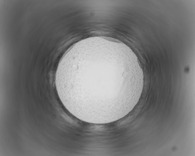 X0000116890428201002021213