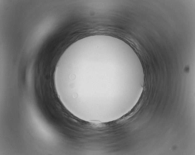 X0000116890429201002021213