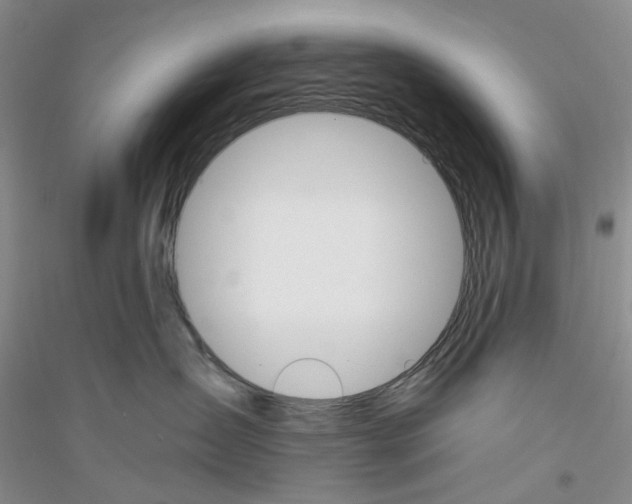 X0000116890431201002021213