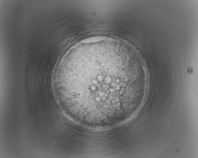 X0000116890432201002021213