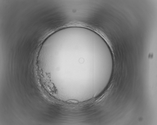 X0000116890433201002021212