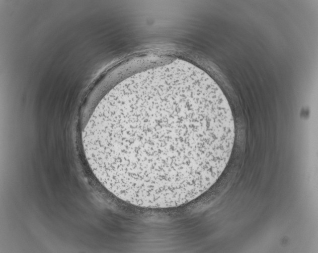 X0000116890434201002021212