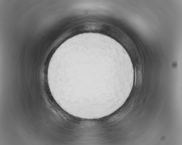 X0000116890435201002021212