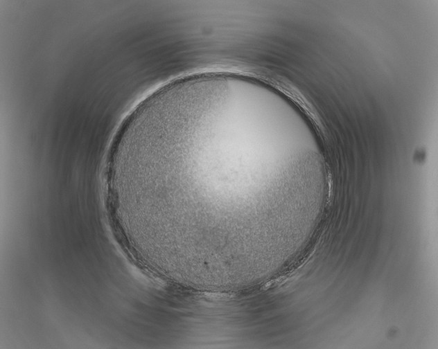 X0000116890436201002021212