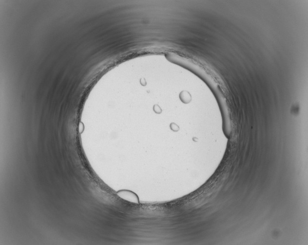 X0000116890437201002021212