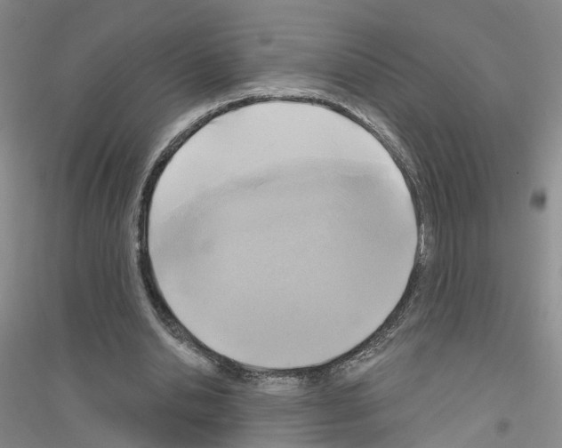 X0000116890438201002021212