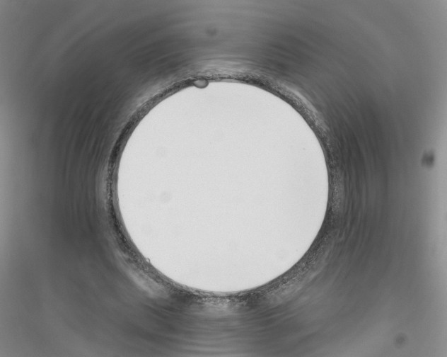 X0000116890439201002021212