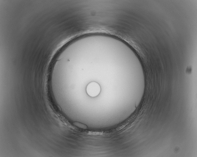 X0000116890440201002021212