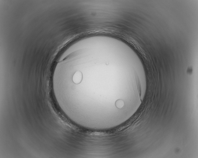 X0000116890444201002021212