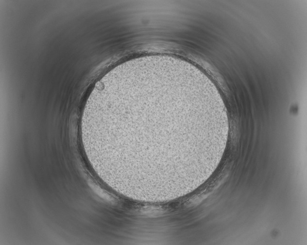 X0000116890445201002021212