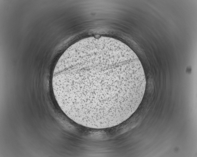 X0000116890446201002021212