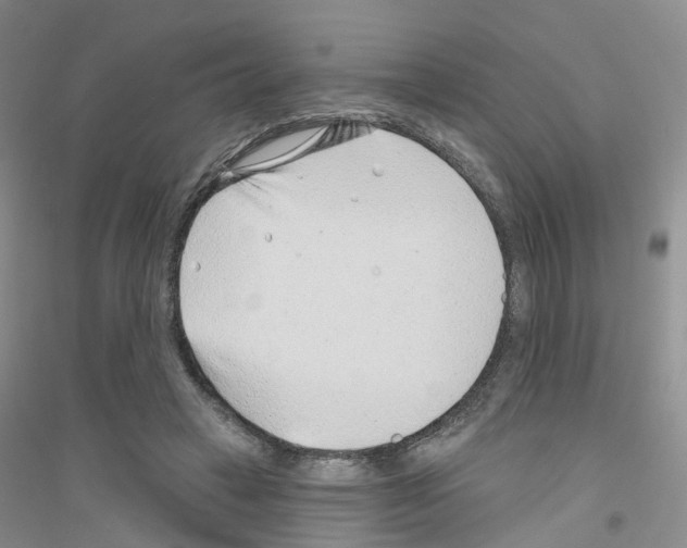 X0000116890449201002021212