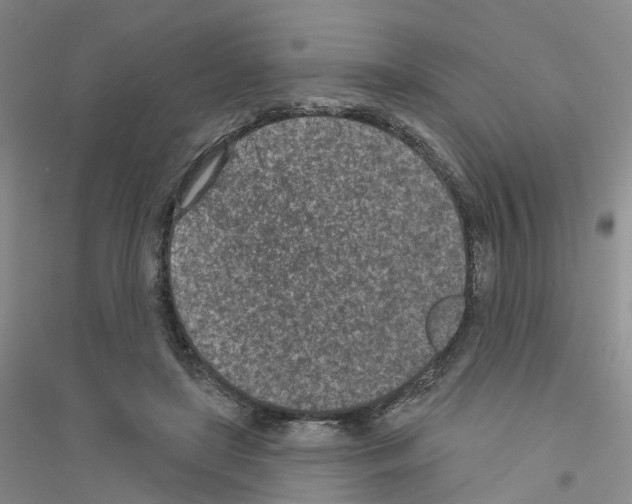 X0000116890451201002021212