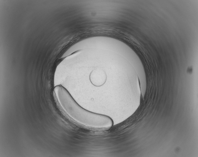 X0000116890452201002021212