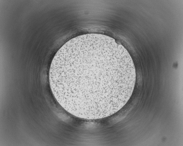 X0000116890453201002021212