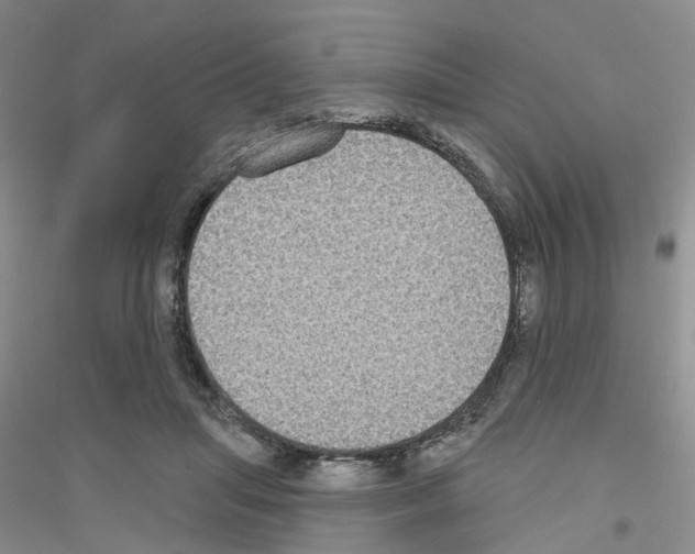 X0000116890455201002021212