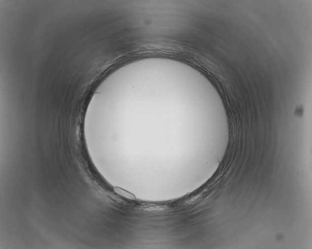 X0000116890456201002021212