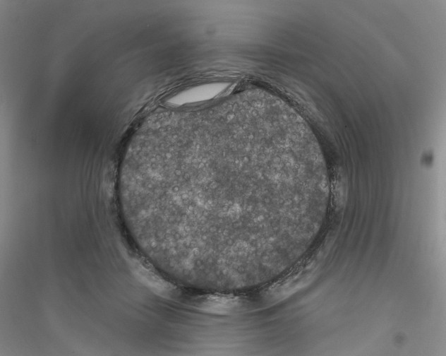 X0000116890458201002021213