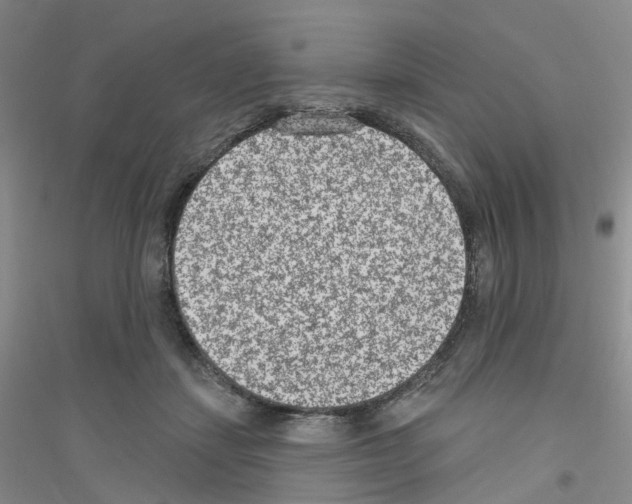 X0000116890459201002021213