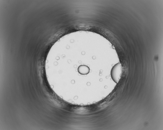 X0000116890460201002021213