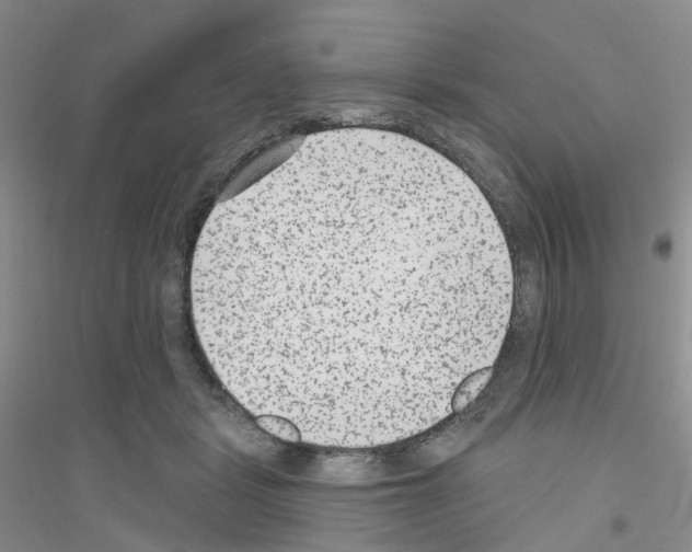 X0000116890461201002021213